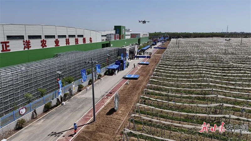比赛选手操控无人机给果园施药。