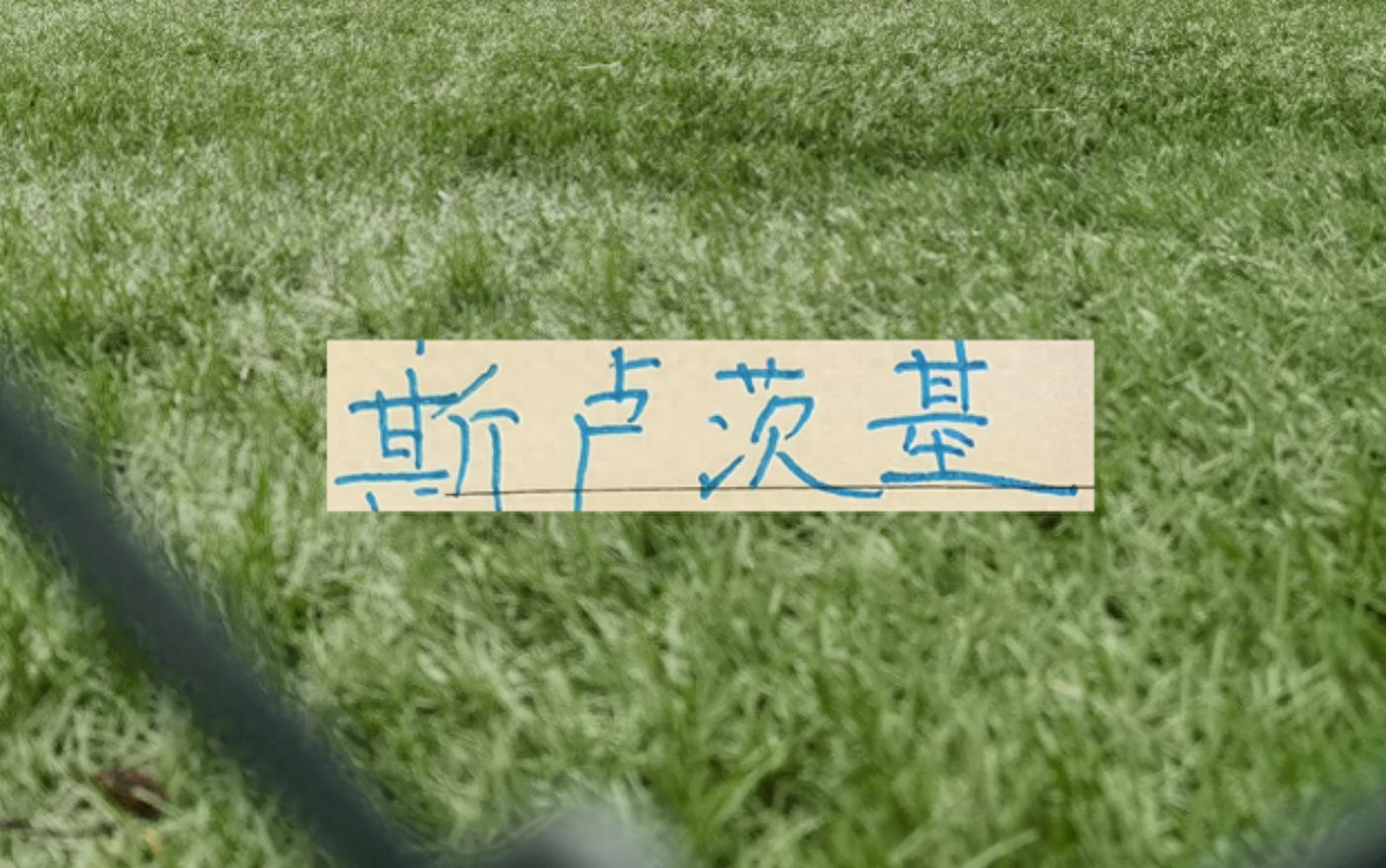 20分钟全华班！刚丢1球！中超问谁能做到！申花司机也敢玩大的