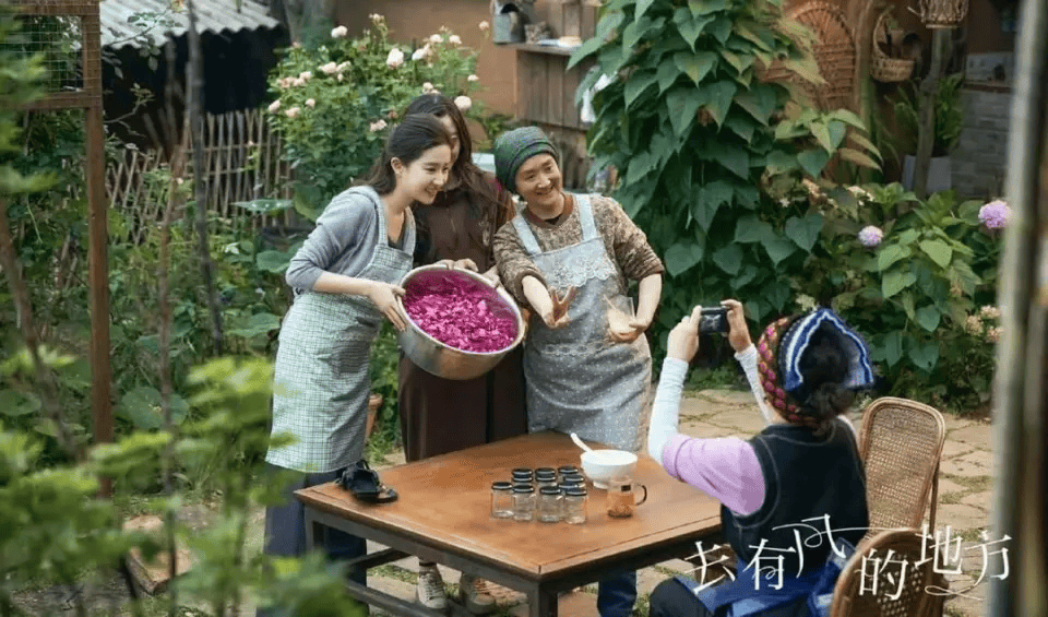 风过云苗，心归故里：《去有风的地方》，治愈当代人的精神乡愁