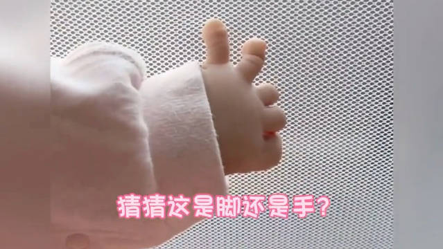 任重晒女儿小脚丫引热议