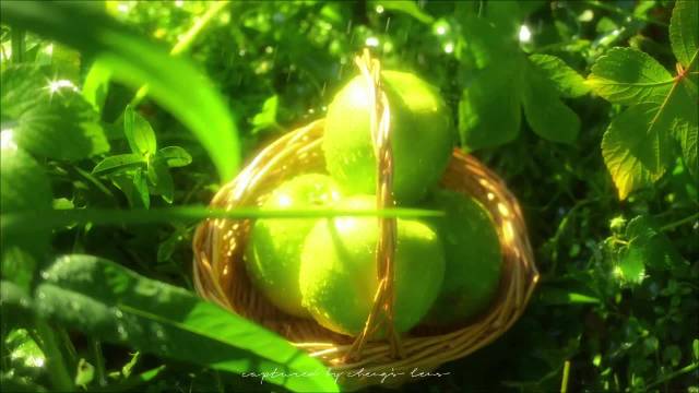 杨幂刘诗诗等40位女星高清壁纸头像合集