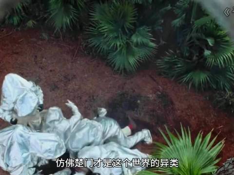 妻子质问时突然打广告楚门彻底爆发