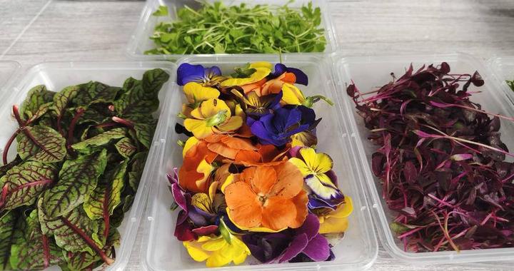 食花季如约而至！合肥“菜篮子”装满春日花香，尝鲜正当时