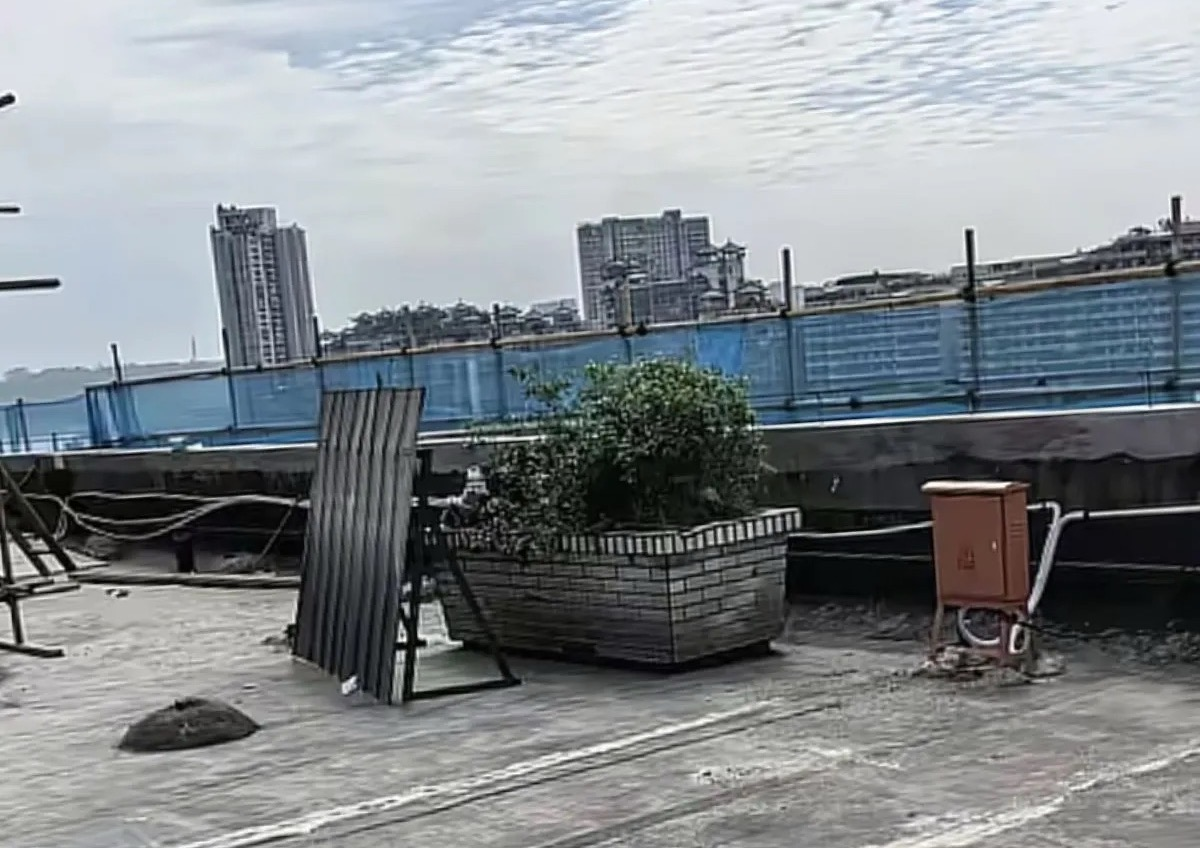 曾經天台上的花壇。受訪者供圖