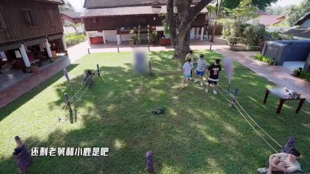 鹿晗玩猫鼠游戏全程沉默淡定，反差萌引关注