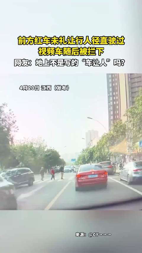前方红车未礼让行人径直驶过，视频车随后被拦下！