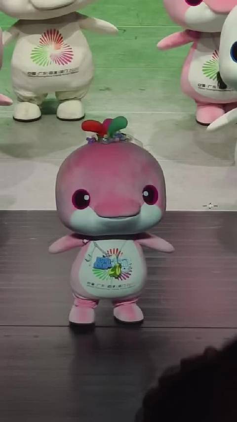 mini宝宝学习鸡！ 想到里面的小仔仔举着大脑袋努力蹦哒，心一下子就柔软了