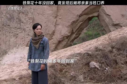 铁梨花十年没回家，竟发现后娘将亲爹当牲口养