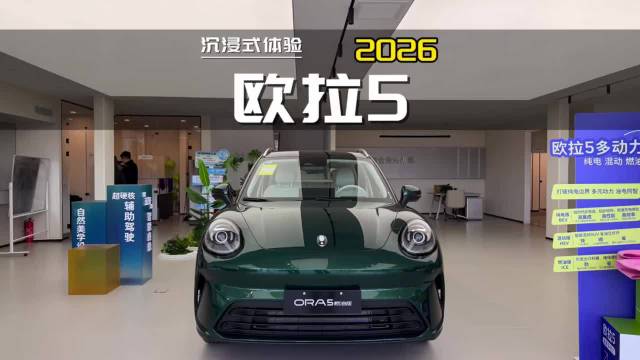沉浸式体验：2026款长城欧拉5燃油版