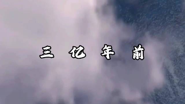 旋齿鲨牙齿诡异能否战胜沧龙巨齿鲨