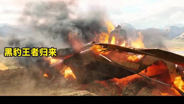 黑豹王者归来，与金钱豹开战争夺王位！