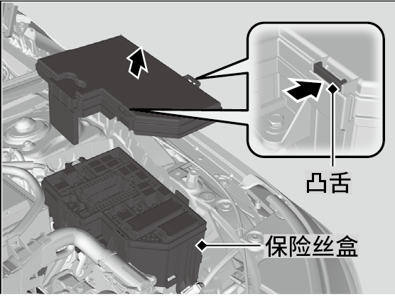 保险丝位置