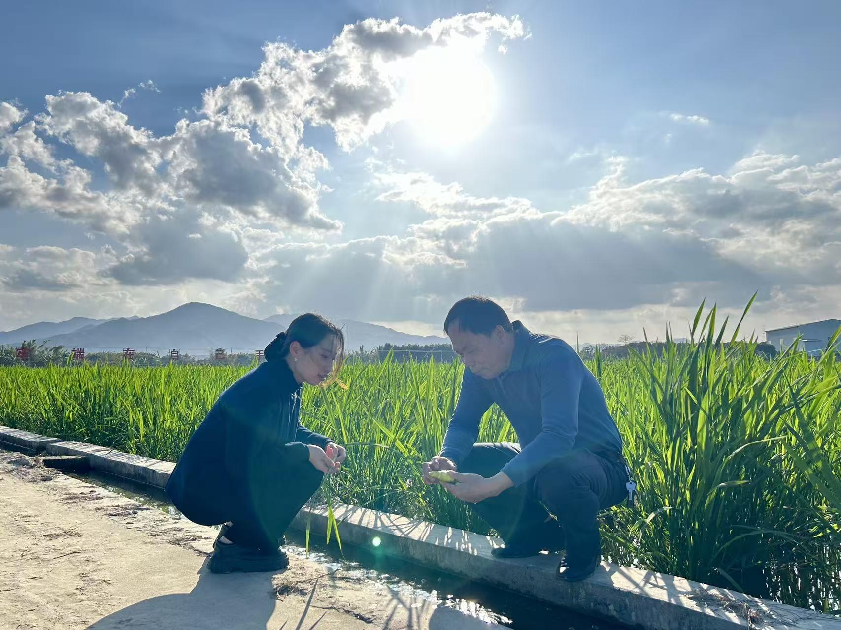 揭阳中行：以金融活水精准滴灌地方实体经济