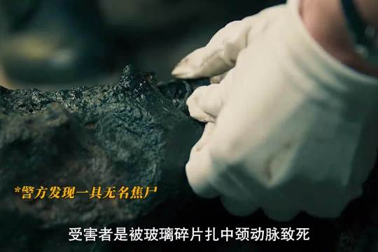 许凯新剧上演父子黑白对决，这场猫鼠游戏的真相究竟是什么？