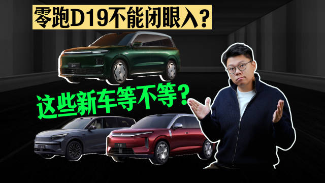 零跑D19不能闭眼入？这些新车等不等？