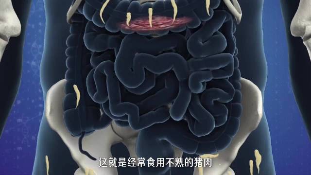 寄生虫究竟是如何侵入你身体的？寄生虫的危害