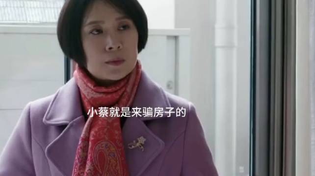 苏大强遭遇诈骗,蔡根花宝贝身份造假