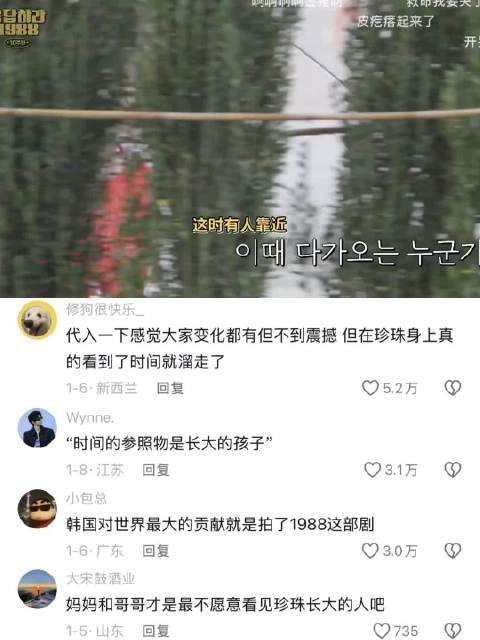 珍珠出场引观众感慨请回答1988已播十年