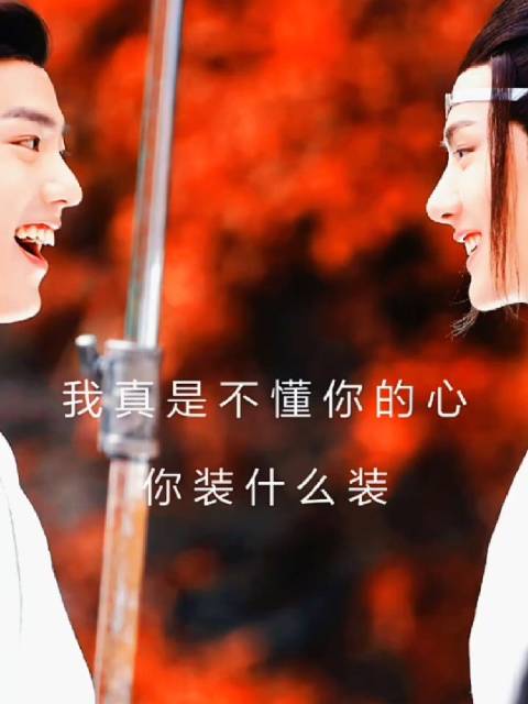 那个夏天最火的剧是什么，当然是《陈情令》！还有我们的博君一肖！