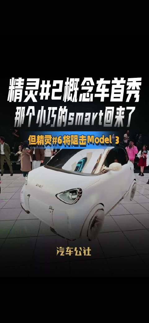 精灵6将阻击Model 3