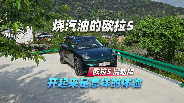 烧汽油的欧拉5，开起来是怎样的体验