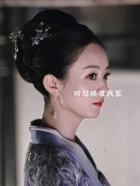 盛家大娘子大战顾家婆