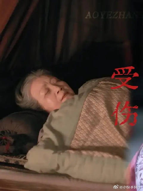 臣无祖母，无以至今日，祖母无臣，无以终余年
