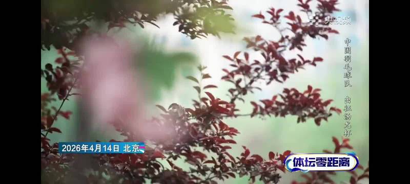 石宇奇贾一凡任汤尤杯队长，称最难的永远是下一场比赛