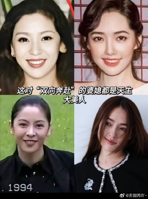 向太提到的郭碧婷养全家具体指的是什么情况？