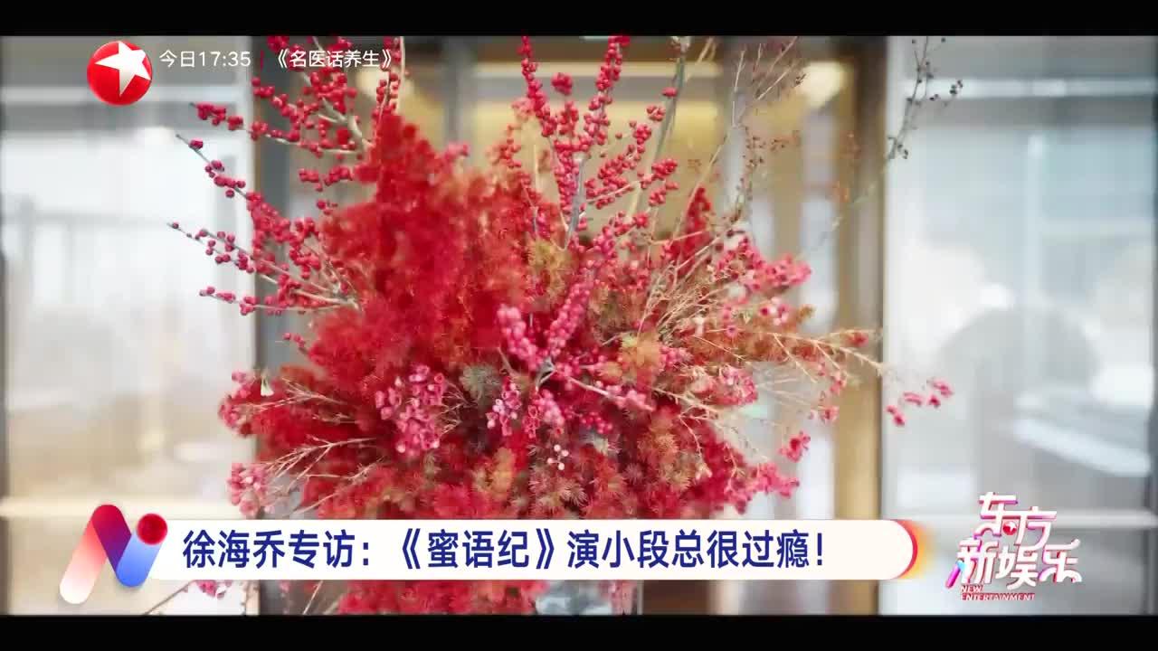徐海乔专访：《蜜语纪》演小段总很过瘾！