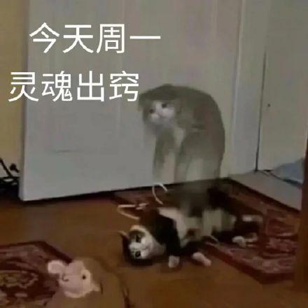 起猛了梗是什么意思,猛了梗含义解析_多特游戏