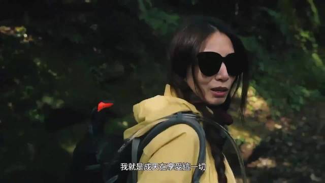 田馥甄领金曲奖感谢山友，SHE合体爬山引回忆杀
