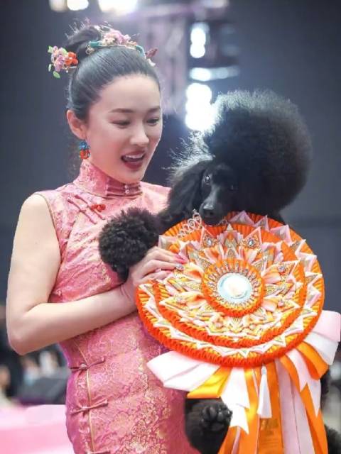 霍思燕携爱犬夺冠引关注，明星效应推动宠物赛事普及