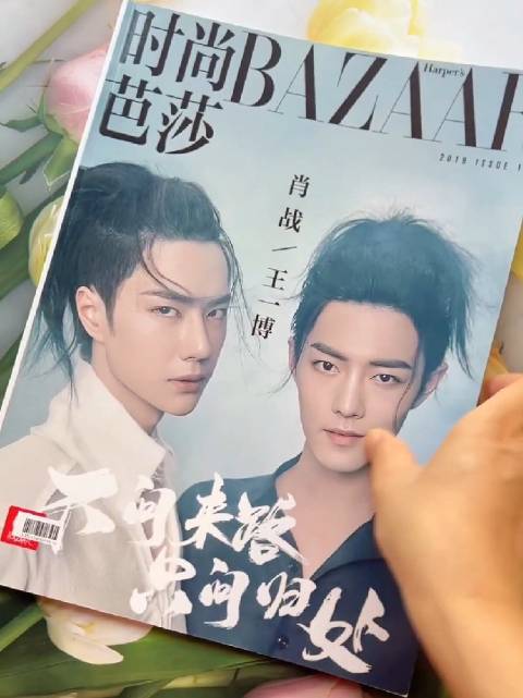 陈情令粉丝珍藏博君一肖周边多年