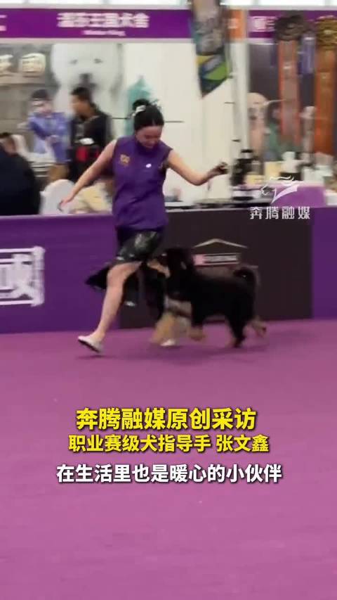 她好幸福啊天天和狗狗打交道