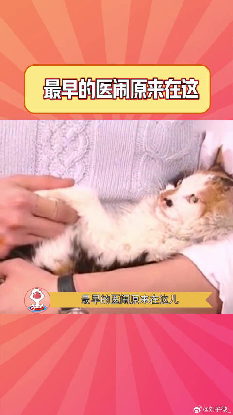 琼瑶：不要给我讲道理，我不听，我不听，我不听