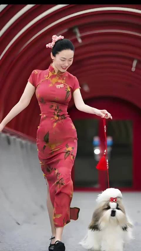 霍思燕现在带狗狗比赛都成专业选手了 老铁娱乐观察站