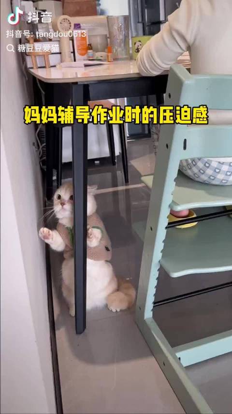 你就告诉我 这么抓就好了