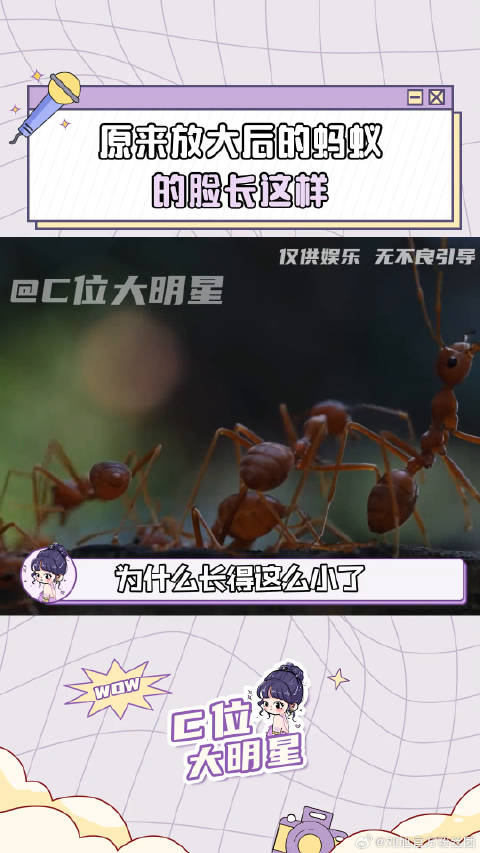 我勒个超雄脸长相动物世界 科普