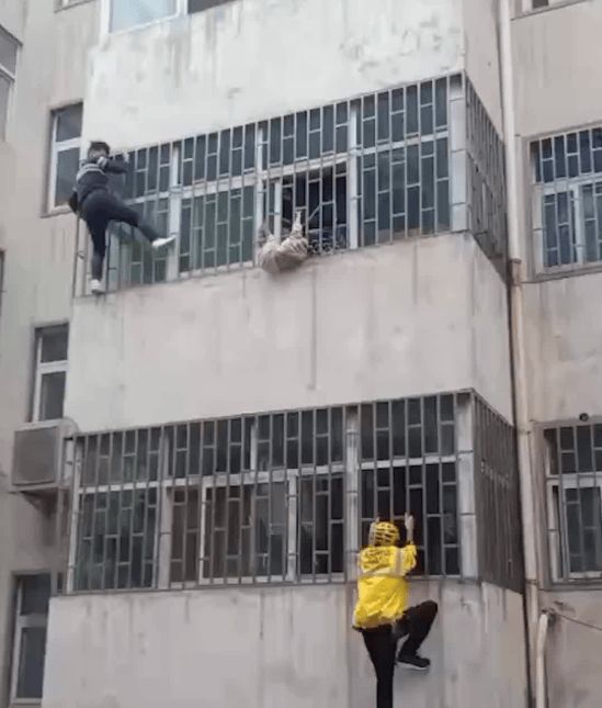 外卖小哥变身“蜘蛛侠”徒手爬楼救人