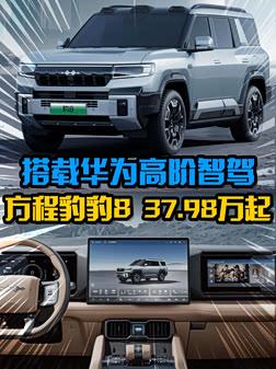 方程豹月销25926辆超越坦克:坦克700双动力能扳回一城吗_驾驶坐标系