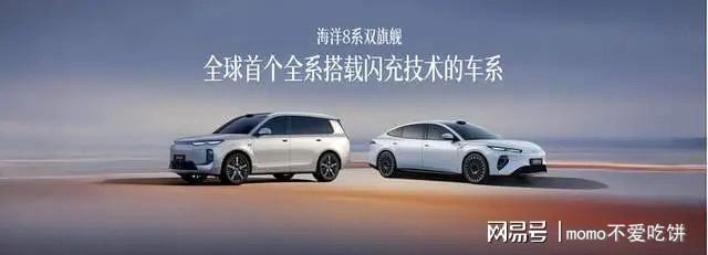 30万起、纯电400km、闪充加持，海洋8系这次来真的