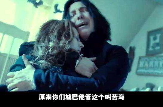网友创意混剪哈利波特甄嬛传延禧攻略