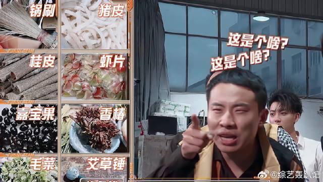 徐志胜你是来搞笑的？谁家韭菜长这样，真是笑发财了！