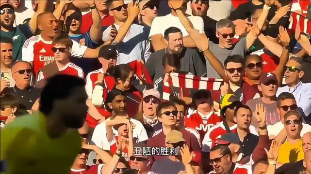 阿森纳1比0纽卡斯尔，两大核心伤退终结连败重回榜首