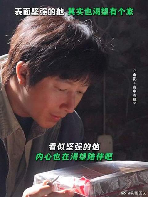 救下无家可归的它们，也收留了那个渴望归处的自己