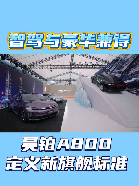 可家用可商务，昊铂 A800 重新定义亲民旗舰