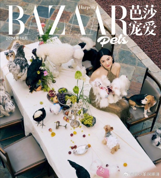 霍思燕的蒙古獒在国际犬展上具体获得了什么奖项？