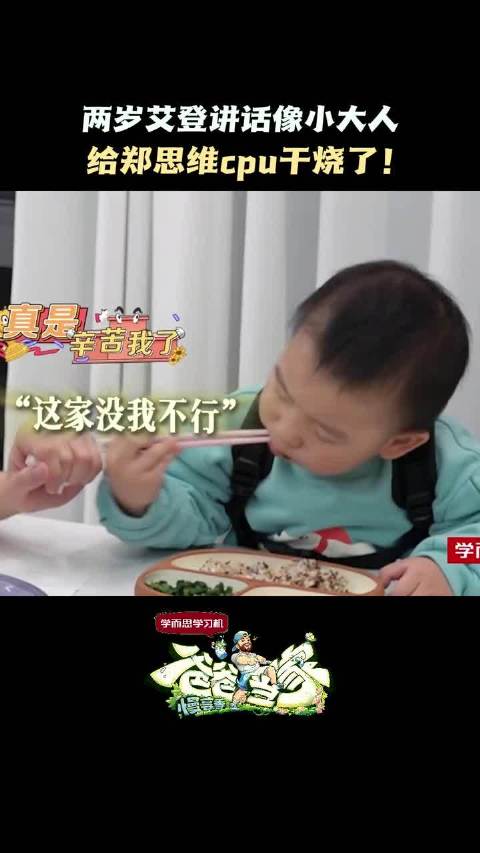 两岁艾登讲话像小大人，给郑思维cpu干烧了！