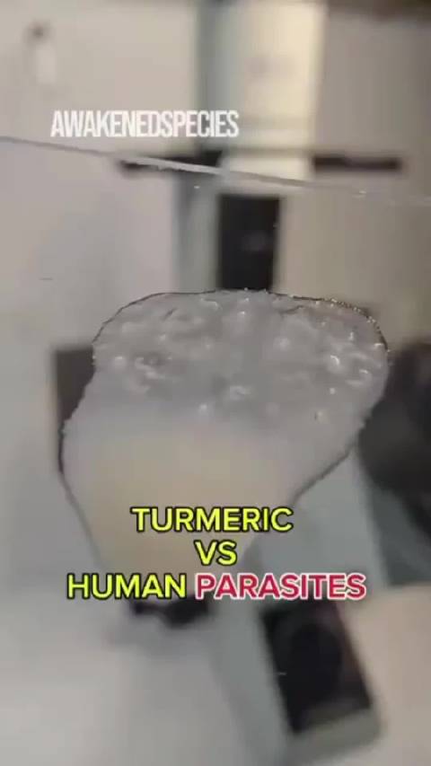 姜黄抗寄生虫抗炎抗菌特性显著